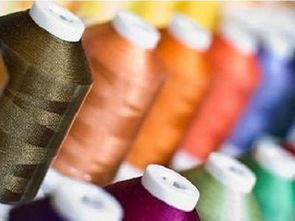 經(jīng)濟(jì)下行壓力下的中國(guó)紡織業(yè) 針紡織品銷(xiāo)售的困境與求變之路